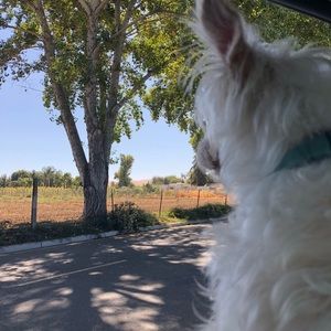 Meet your Posher, Cece